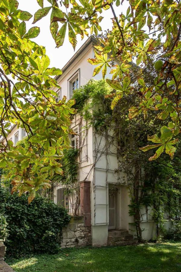נאומבורג Ferienwohnung Am Dom II מראה חיצוני תמונה